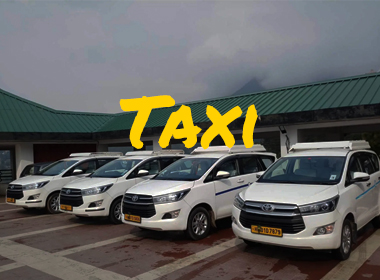 Taxi Services