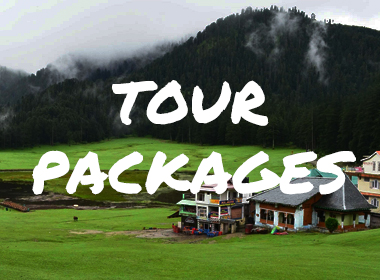 Tour Packages